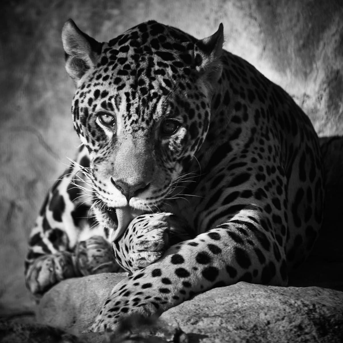 Chitwan National Park