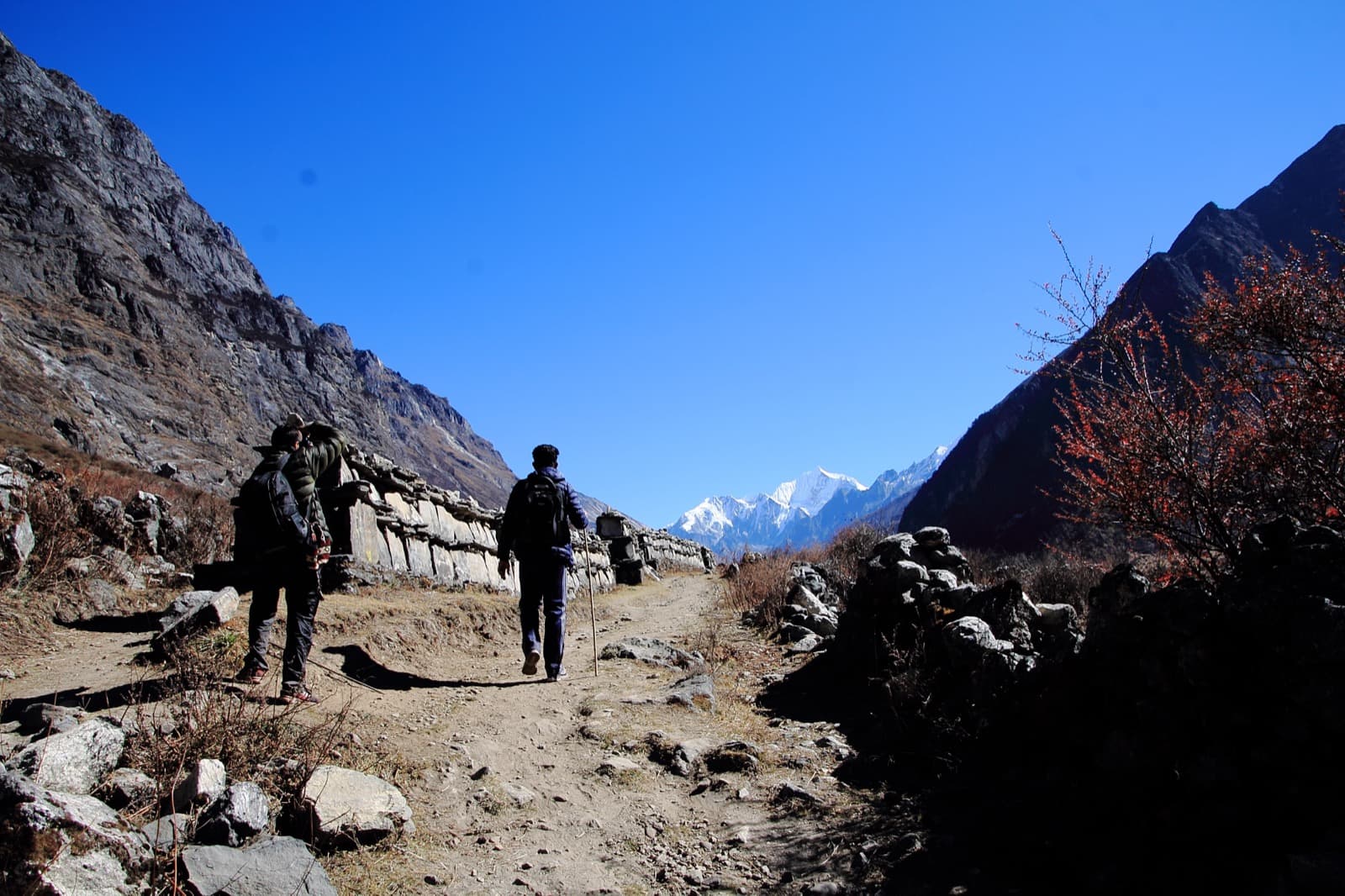 Langtang Valley Trek